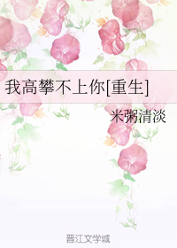 �Ҹ��ʲ�����[����]