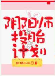 ����ʦͶ̥�ƻ�