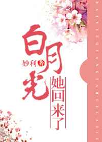 ���¹���������