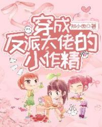 ���ɷ��ɴ��е�С����