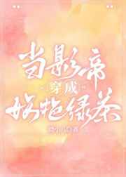 ��Ӱ�۴��������̲�