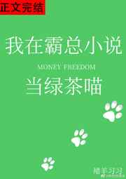 ���ڰ���С˵���̲���