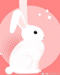 ����Ů������������