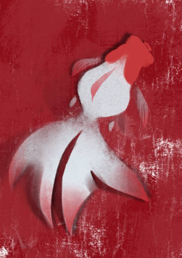 ���ÿ�����Ӧ��������